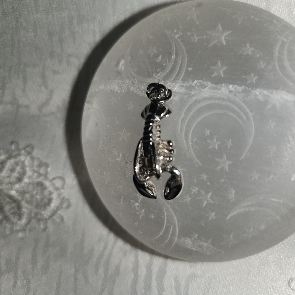 Women's 925 Lobster 🦞 Charm
